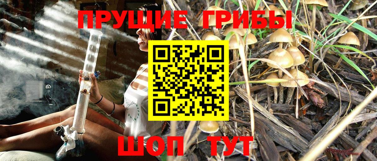 Меф МЯУ МЯУ кристаллы  LSD-25  КОКАИН  Каннабис  ГАШ  Альфа ПВП СК кристаллы  ЭКСТАЗИ  ГАШИШ  Вход с VPN  Северск  Амфетамин  